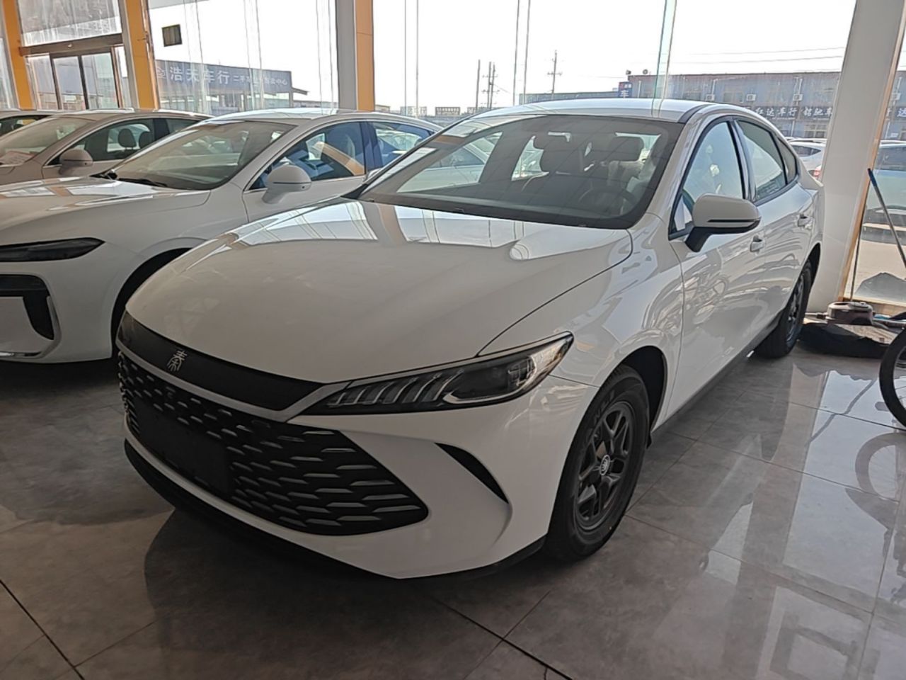 Qin PLUS 2026 DM-i 128KM Progressive