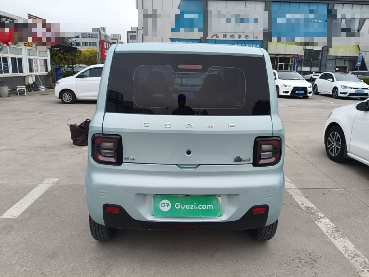 2024 Panda mini 200km Endurance Bear photo 5