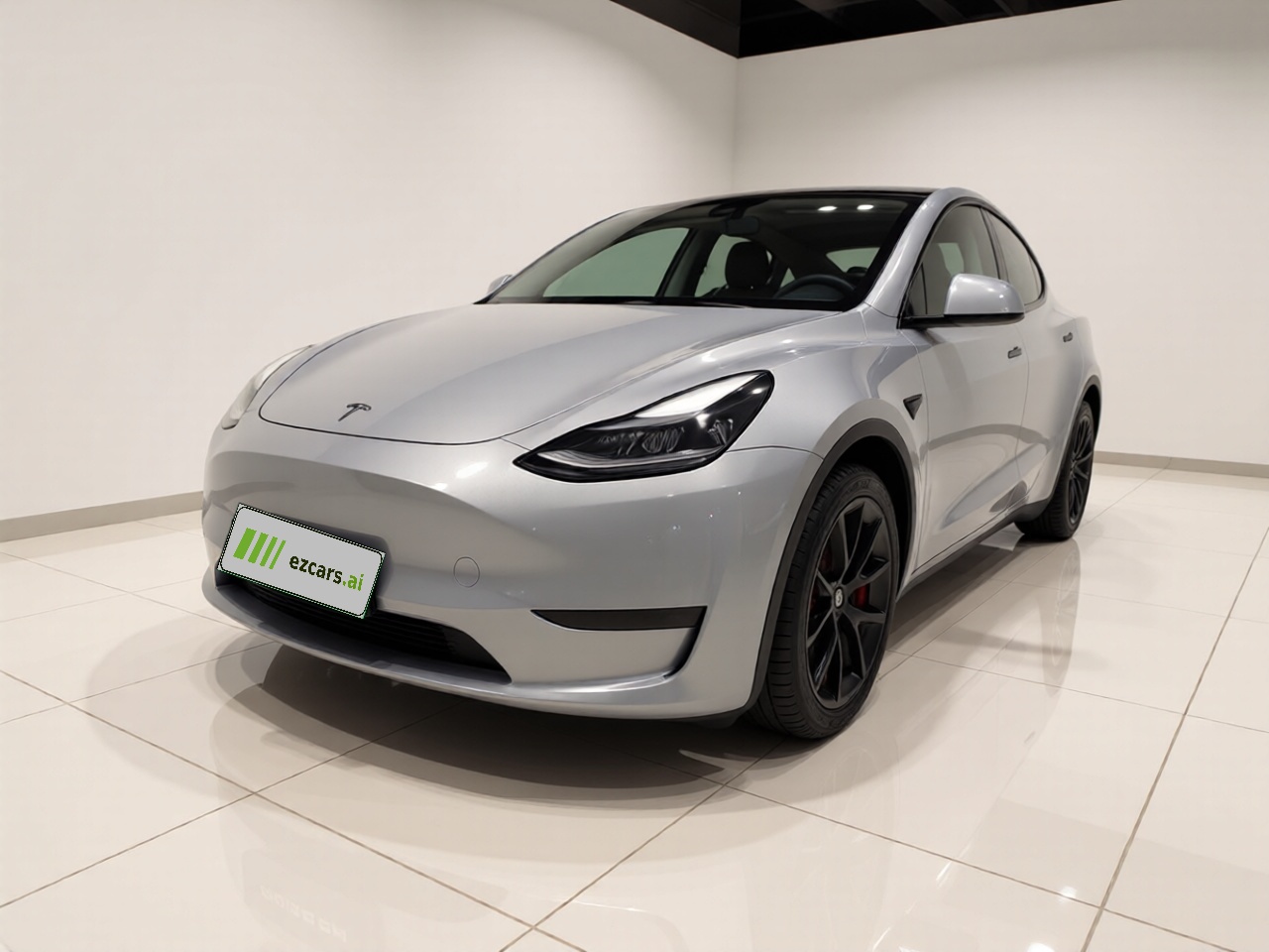 Model Y 2021 Standard Range RWD