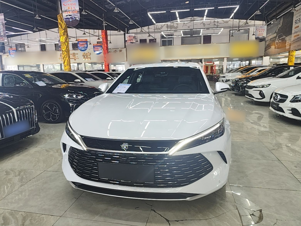 Qin L 2024 DM-i 120KM Leading photo 2