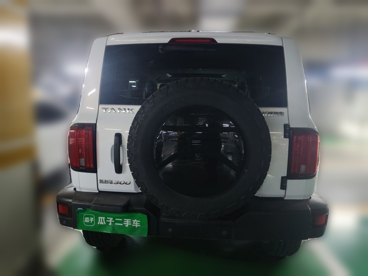 300 2021 Off-road 2.0T Conqueror photo 5