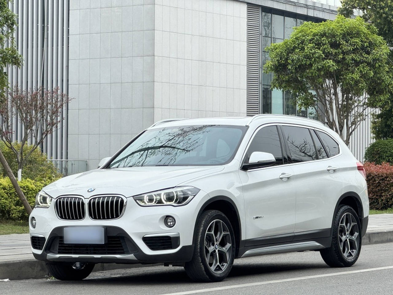 X1 2018 sDrive18Li Exclusive