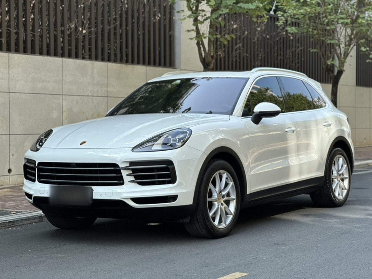 2019 Cayenne 3.0T