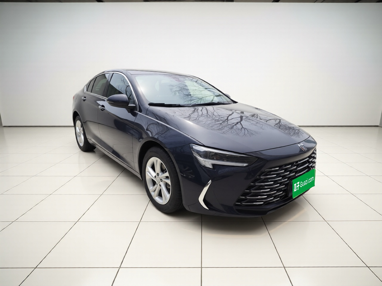 Regal 2024 Facelift 25T photo 3