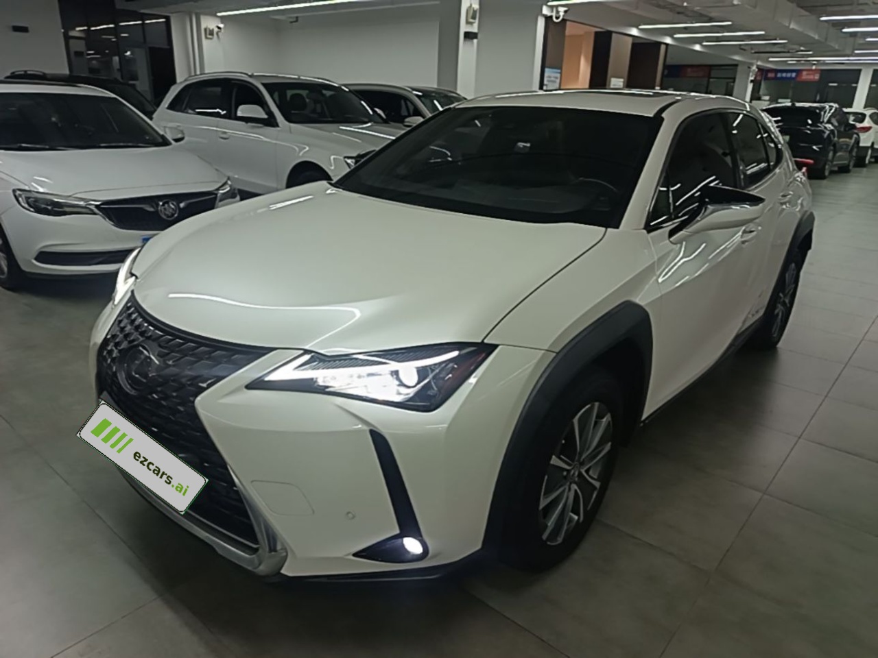UX EV 2020 300e
