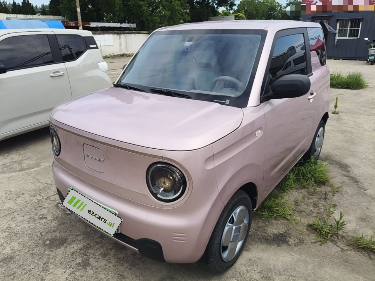 2024 Panda mini 200km Endurance Bear