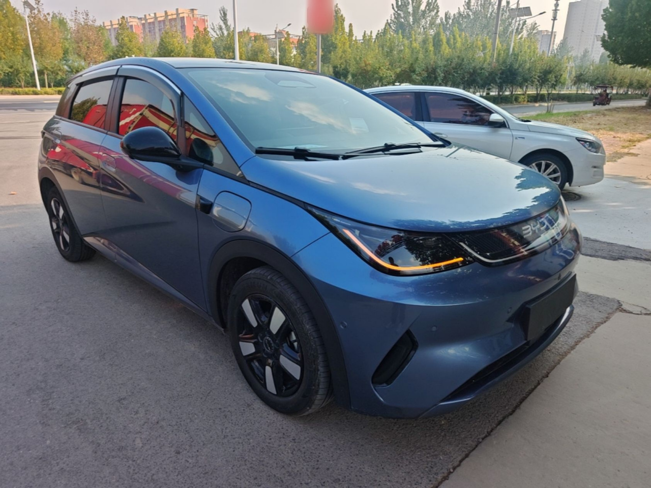 Dolphin 2025 ADAS 410km Fashion photo 3
