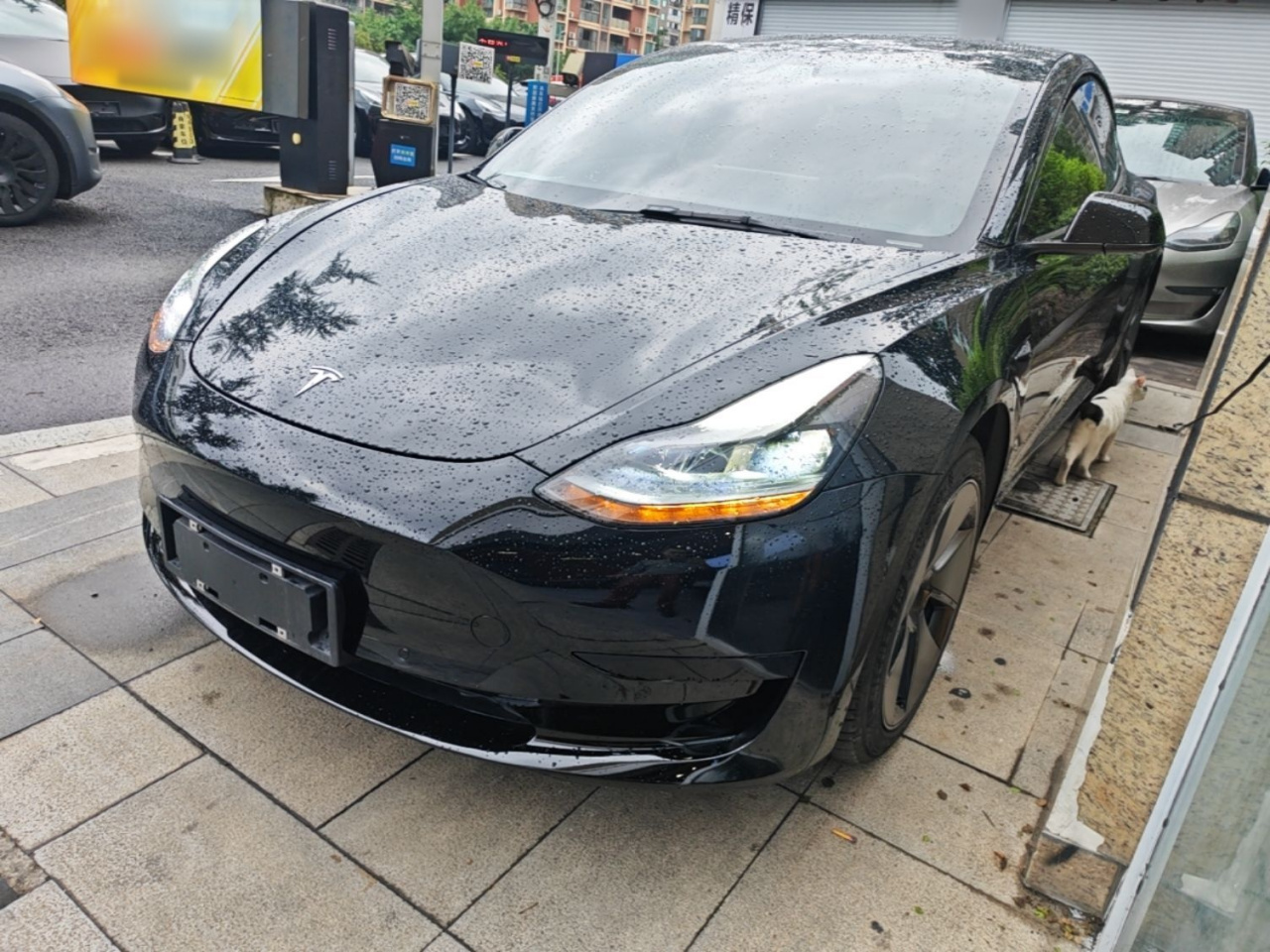 Model 3 2021 Facelift Standard Range RWD Upgraded 3D1