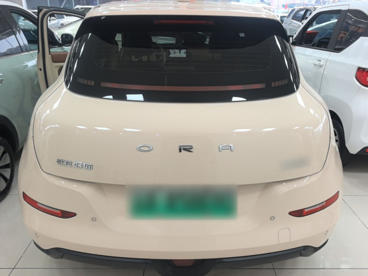 Good Cat 2022 400km Standard Range Premium LFP photo 5