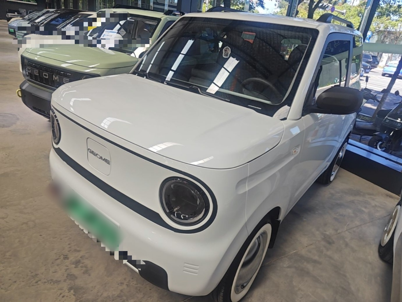 2024 Panda mini 200km Endurance Bear