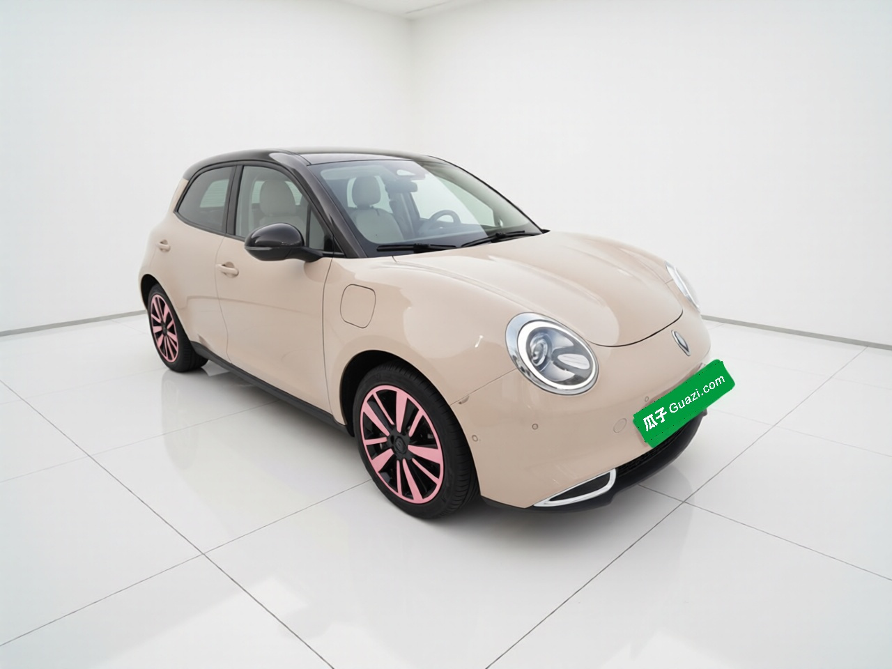Good Cat 2021 400km Standard Range LFP photo 3