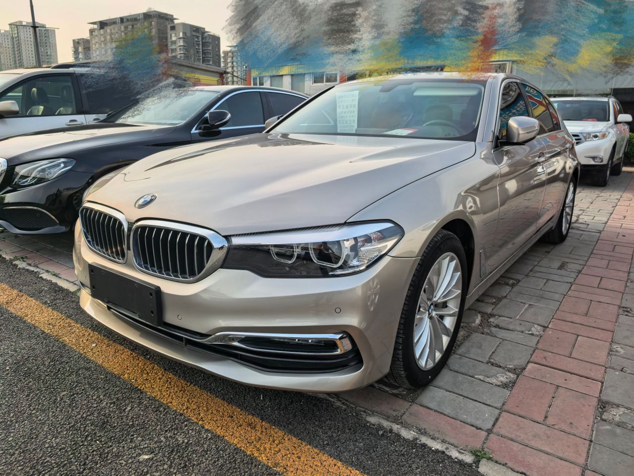 5 Series 2019 530Li Leading Luxury