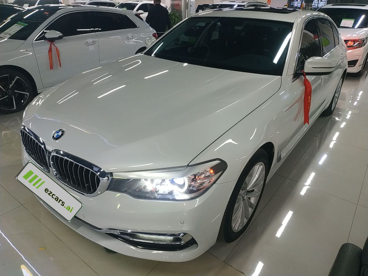 5 Series 2019 530Li xDrive Luxury