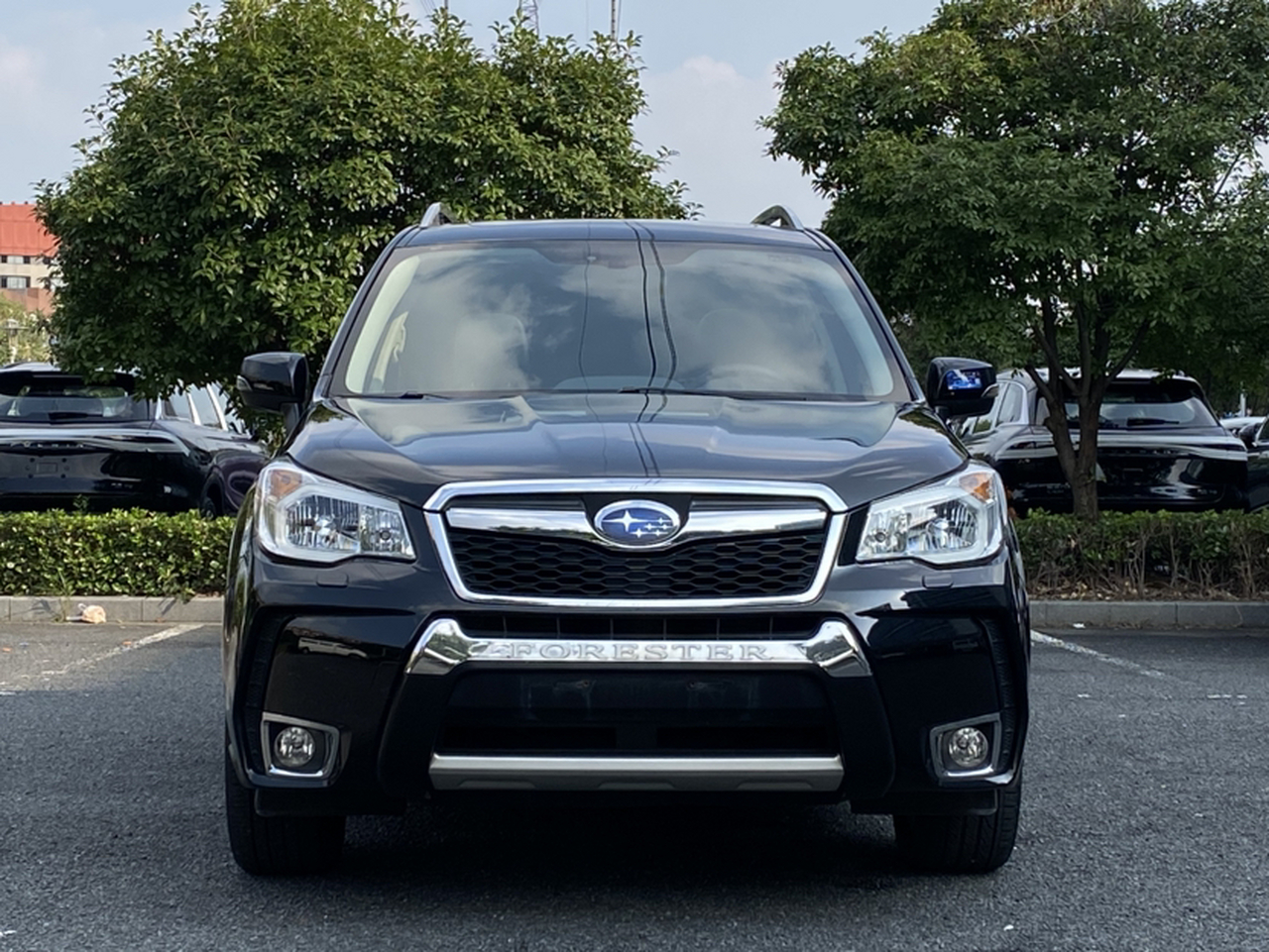 Forester 2015 2.5i Anniversary Edition photo 3