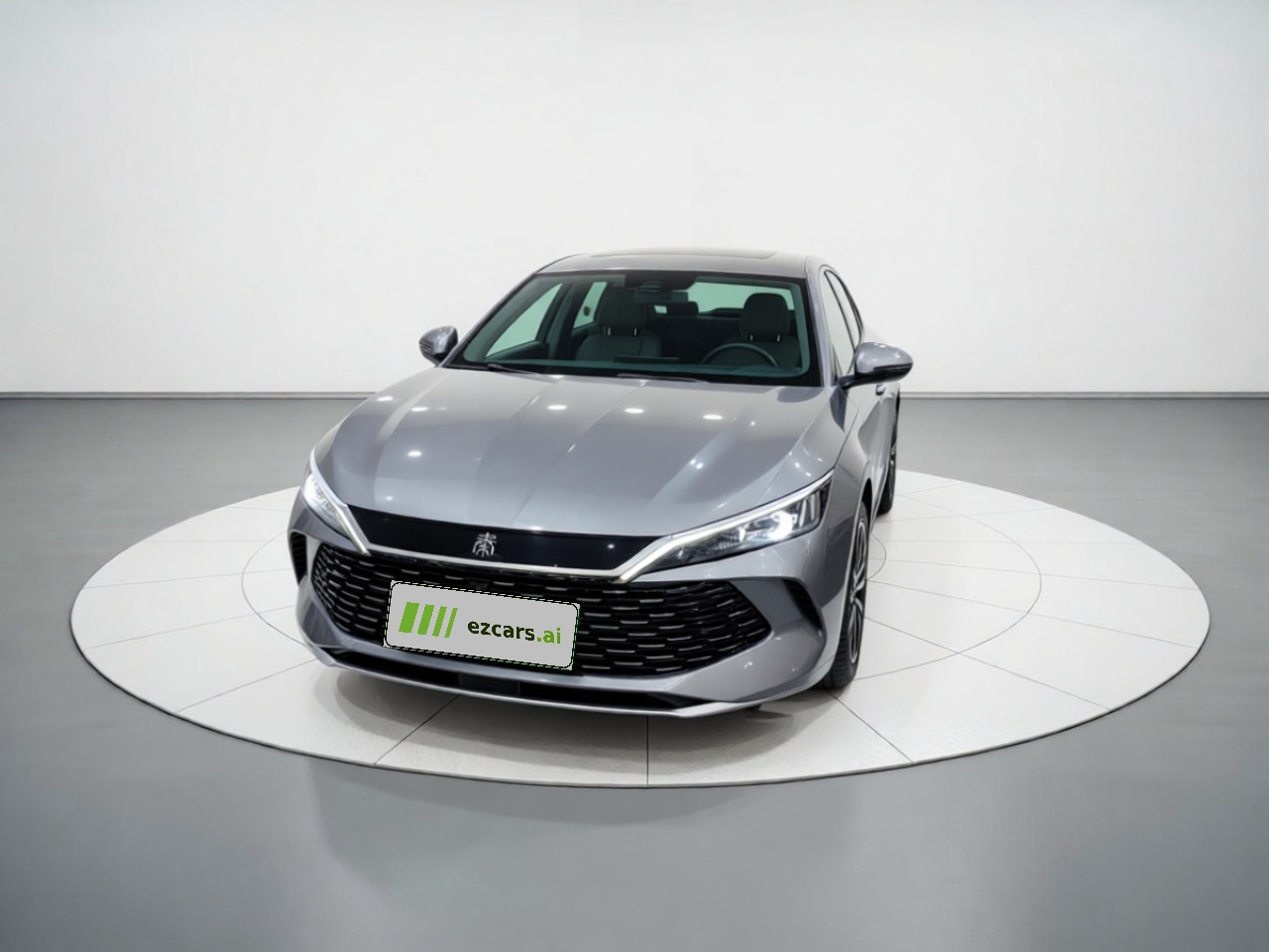 Qin L 2024 DM-i 120KM