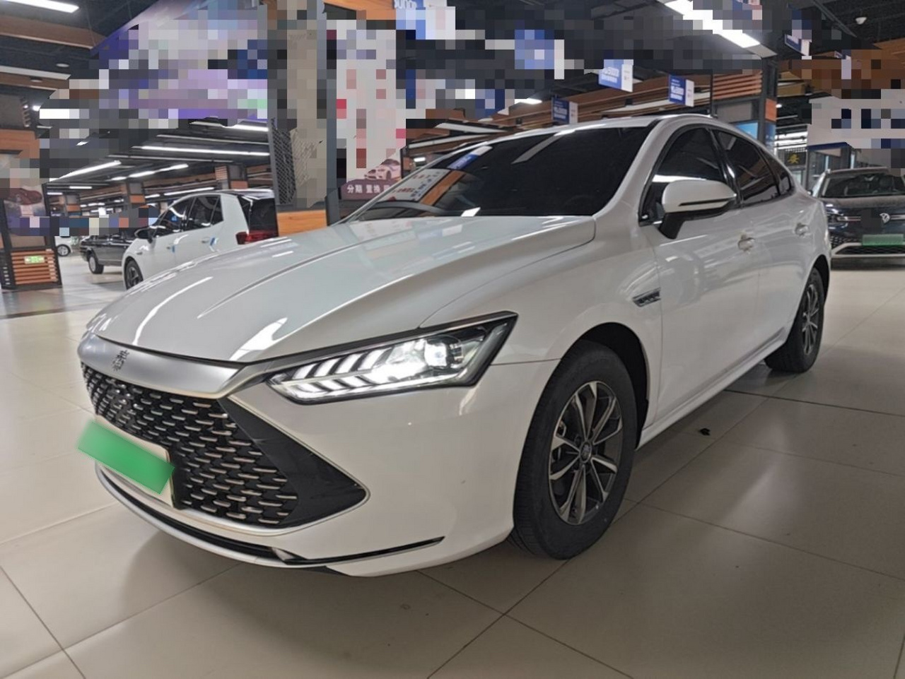 Qin PLUS 2024 Honor DM-i 55KM Leading