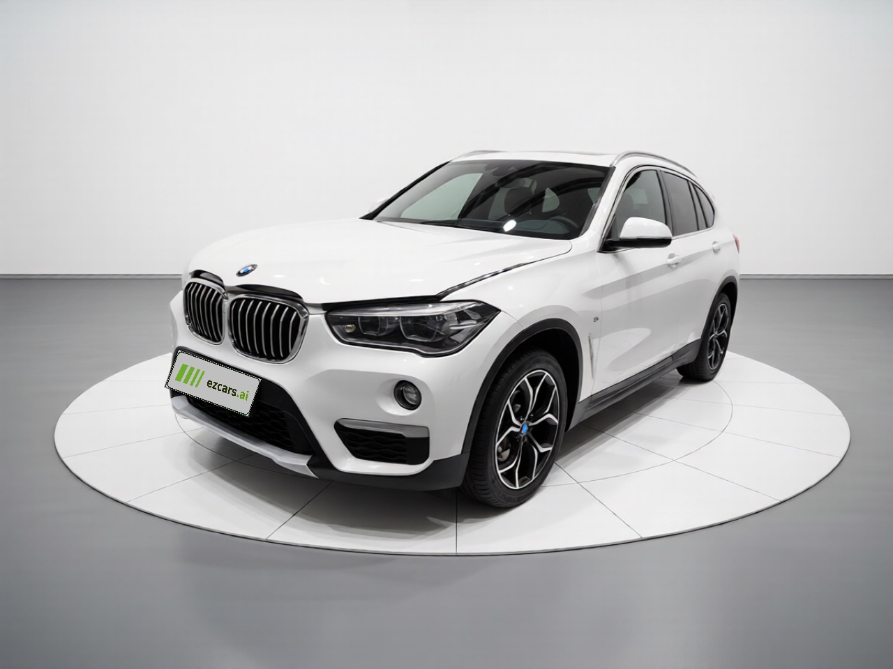 X1 2019 xDrive20Li Exclusive