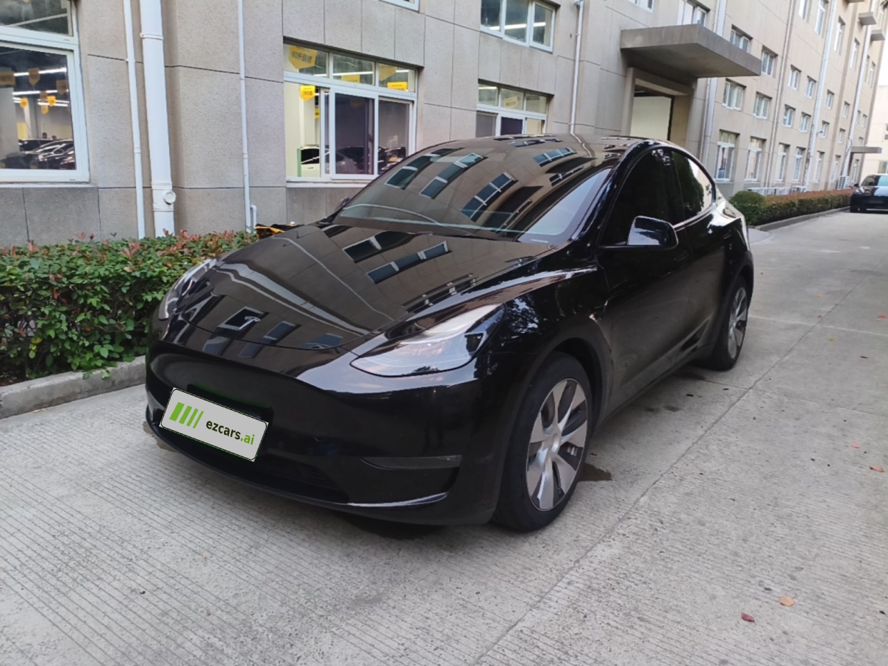 Model Y 2021 Standard Range RWD