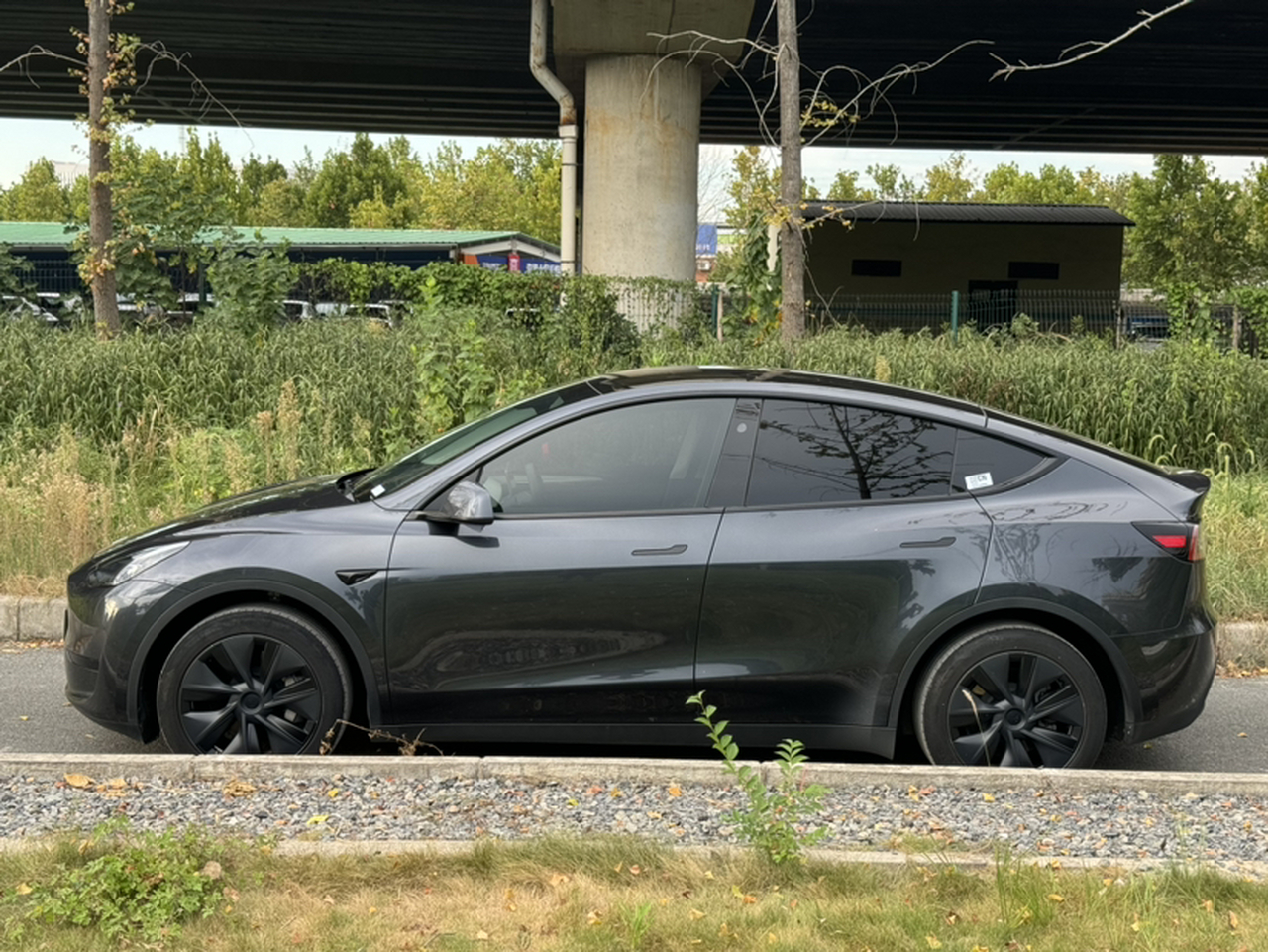 Model Y 2024 RWD photo 2