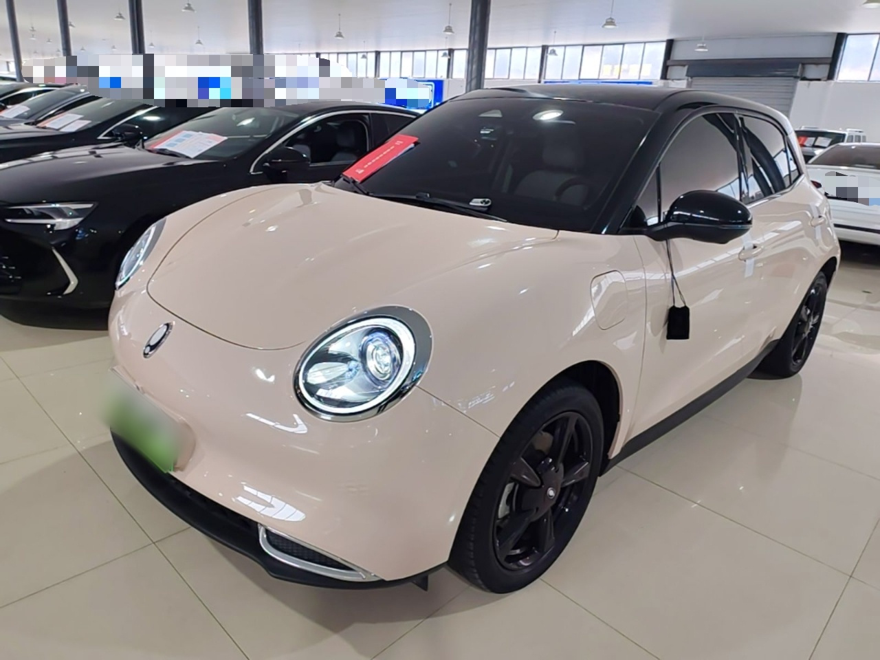 Good Cat 2024 401km Luxury