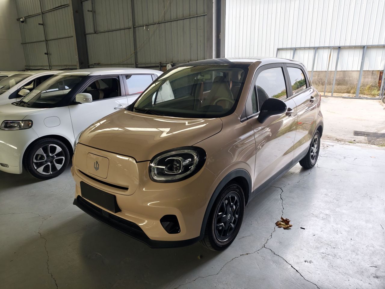 Leapmotor T03 2023 310
