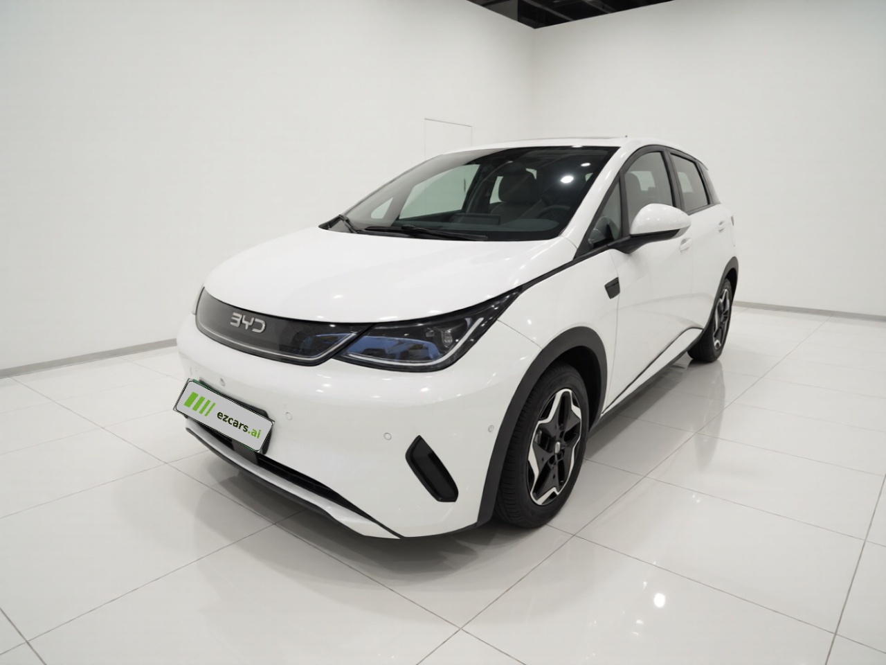Dolphin 2025 ADAS 420km