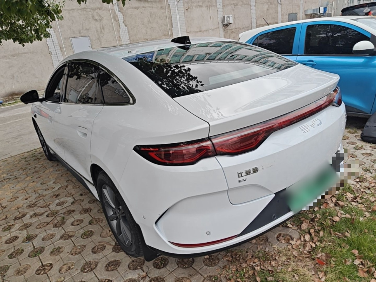 Qin L 2025 EV 545KM photo 4