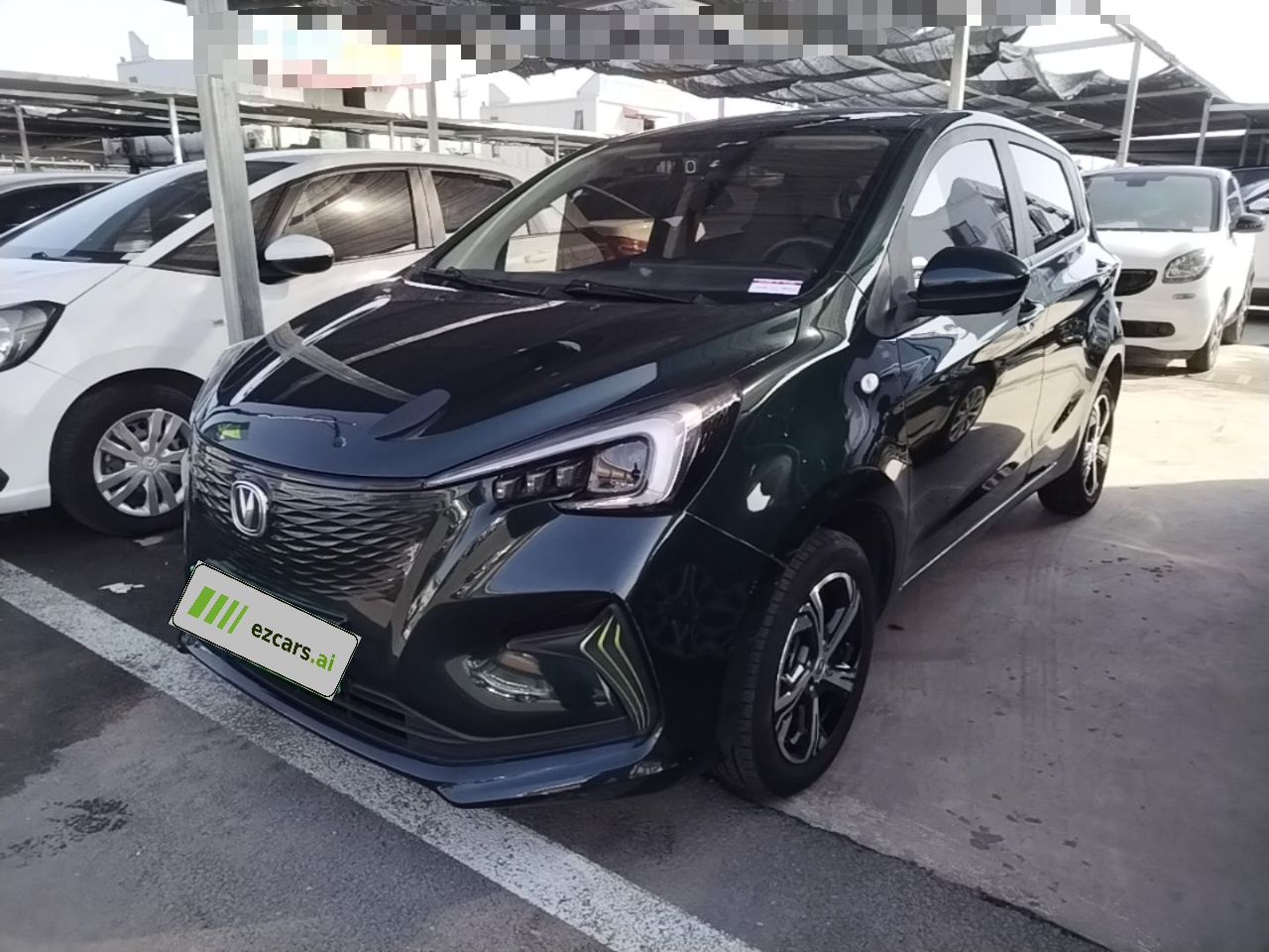 Benni E-Star 2022 NCM