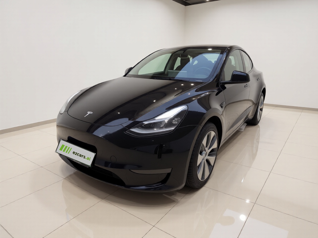 Model Y 2021 Standard Range RWD