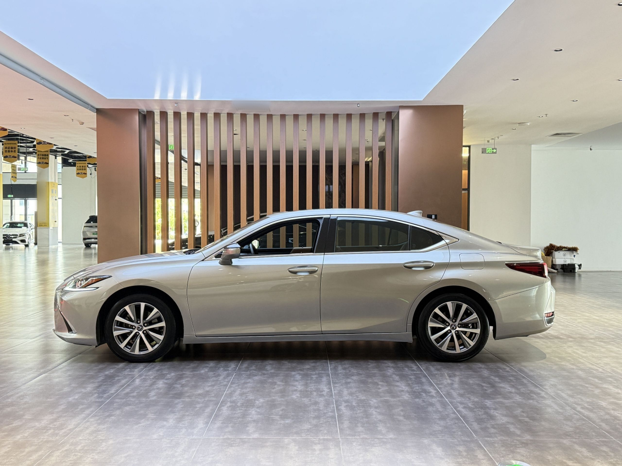 ES 2018 200 Luxury China V photo 4
