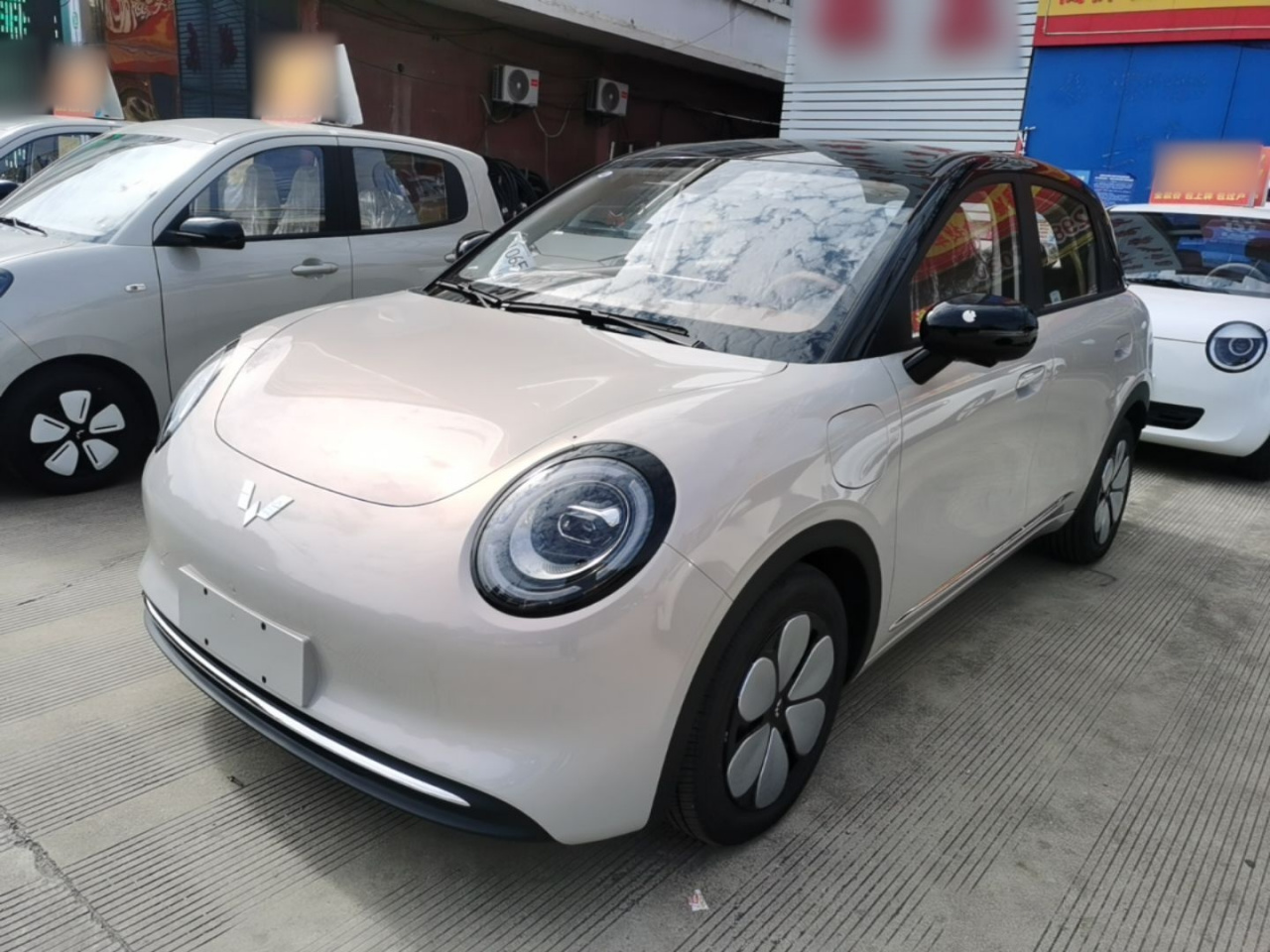 Bingo Pro 2026 330km Exclusive