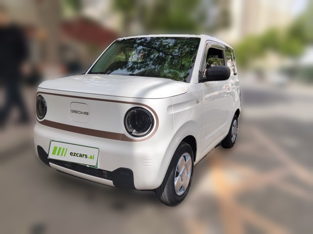 2023 Panda mini 200km Endurance Bear
