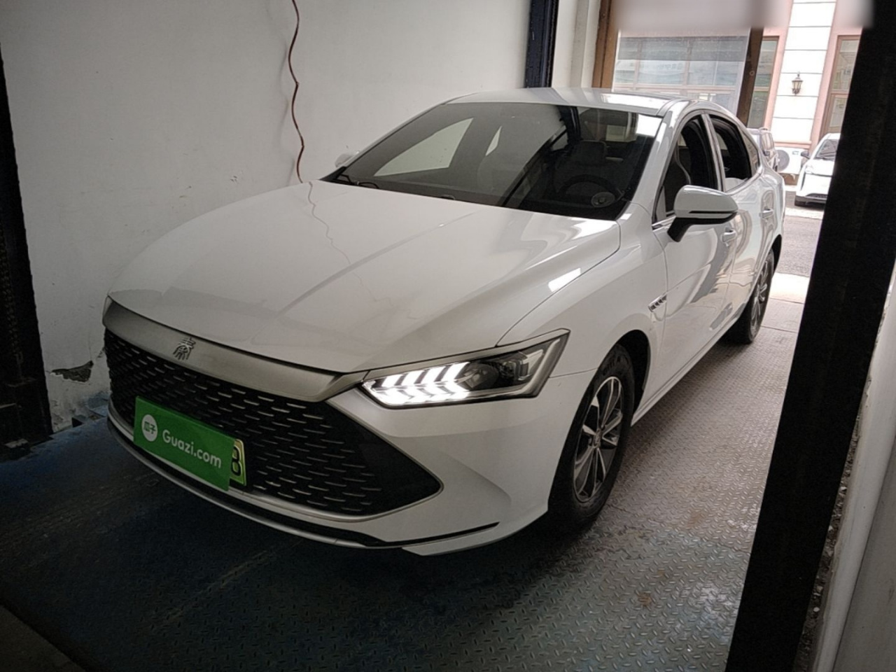 Qin PLUS 2024 Honor DM-i 55KM Leading