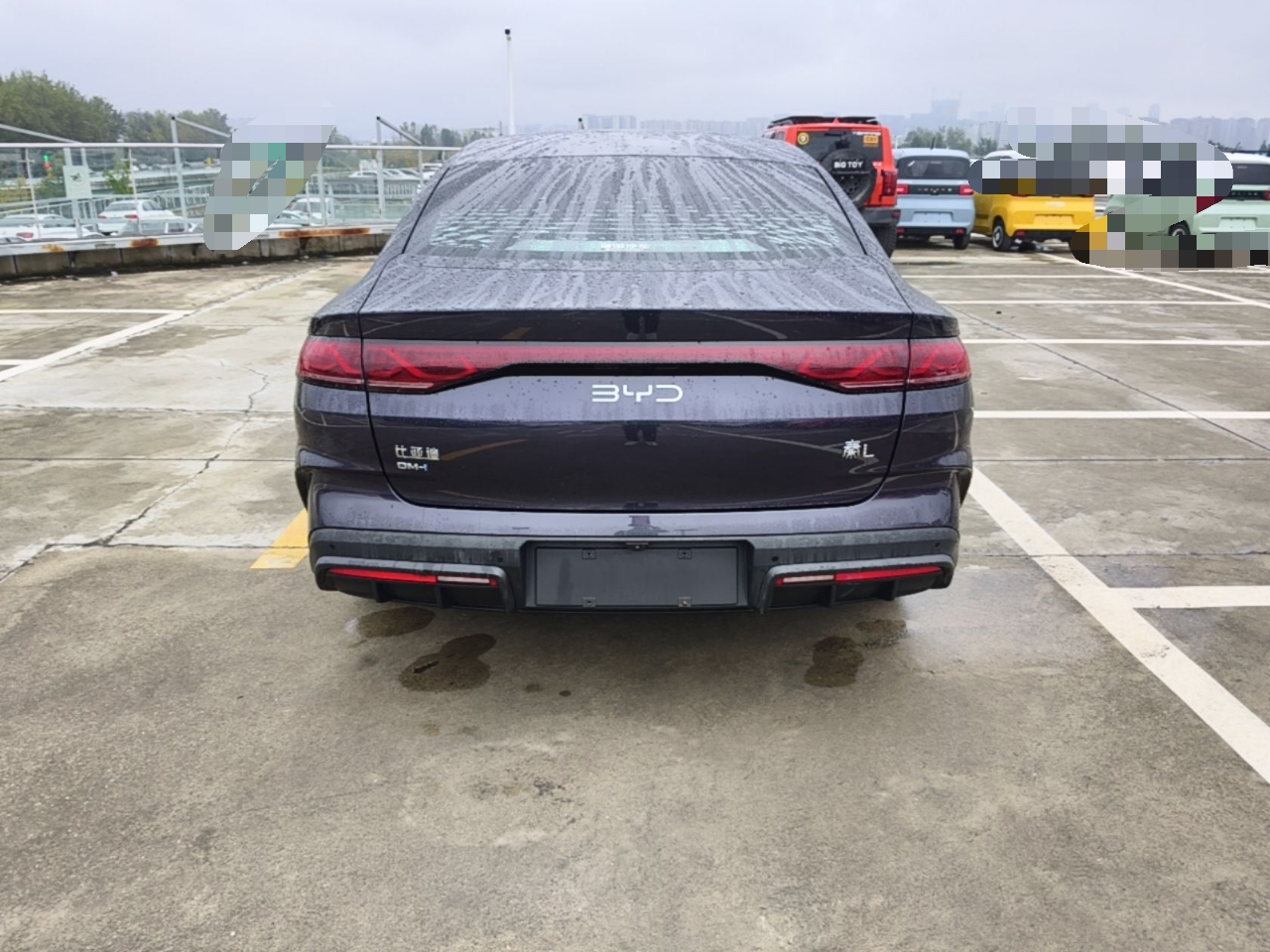 Qin L 2024 DM-i 120KM Leading photo 3