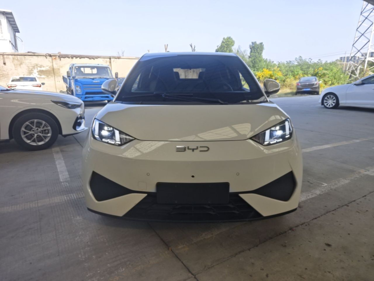 Seagull 2025 ADAS 305km photo 2