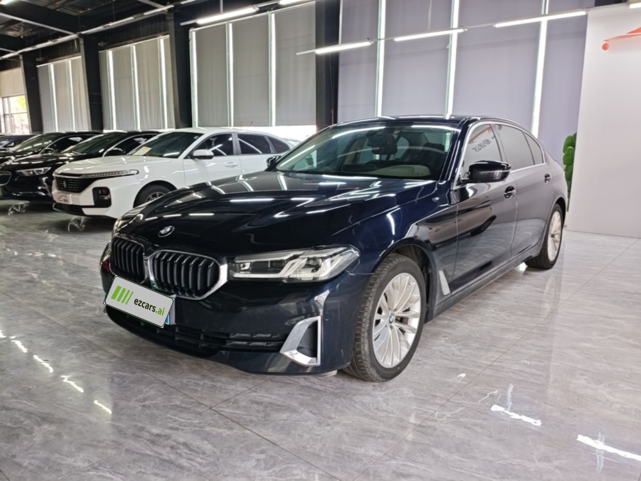 5 Series 2021 525Li Luxury