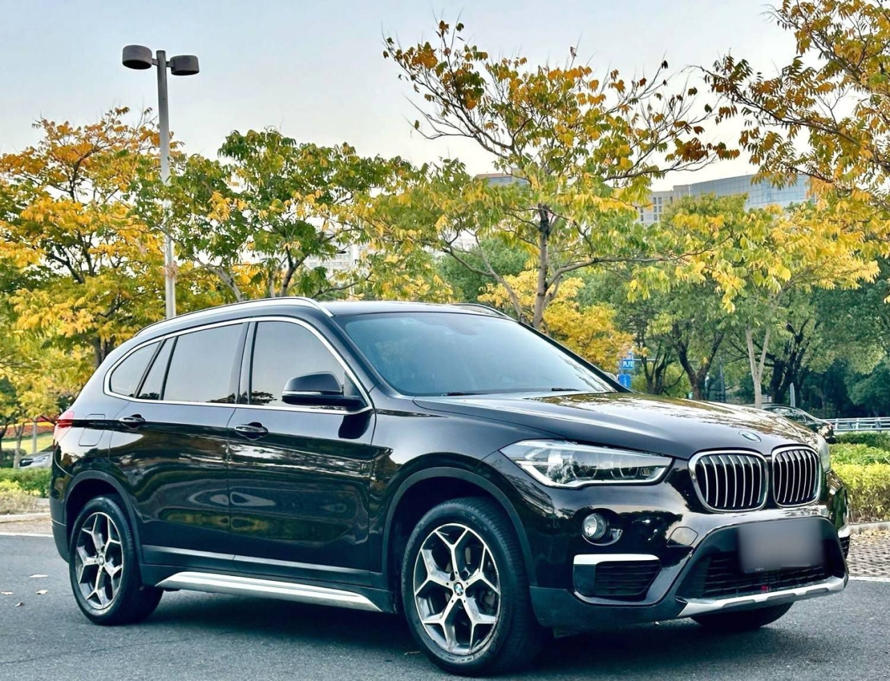X1 2018 sDrive18Li Exclusive photo 3