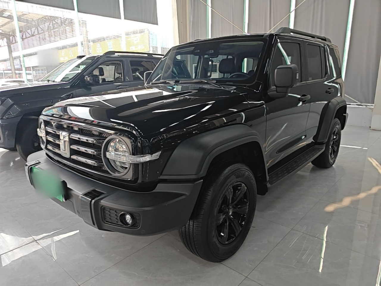 300 2023 Off-road 2.0T Conqueror
