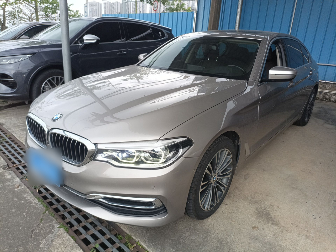 5 Series 2019 530Li Exclusive Luxury