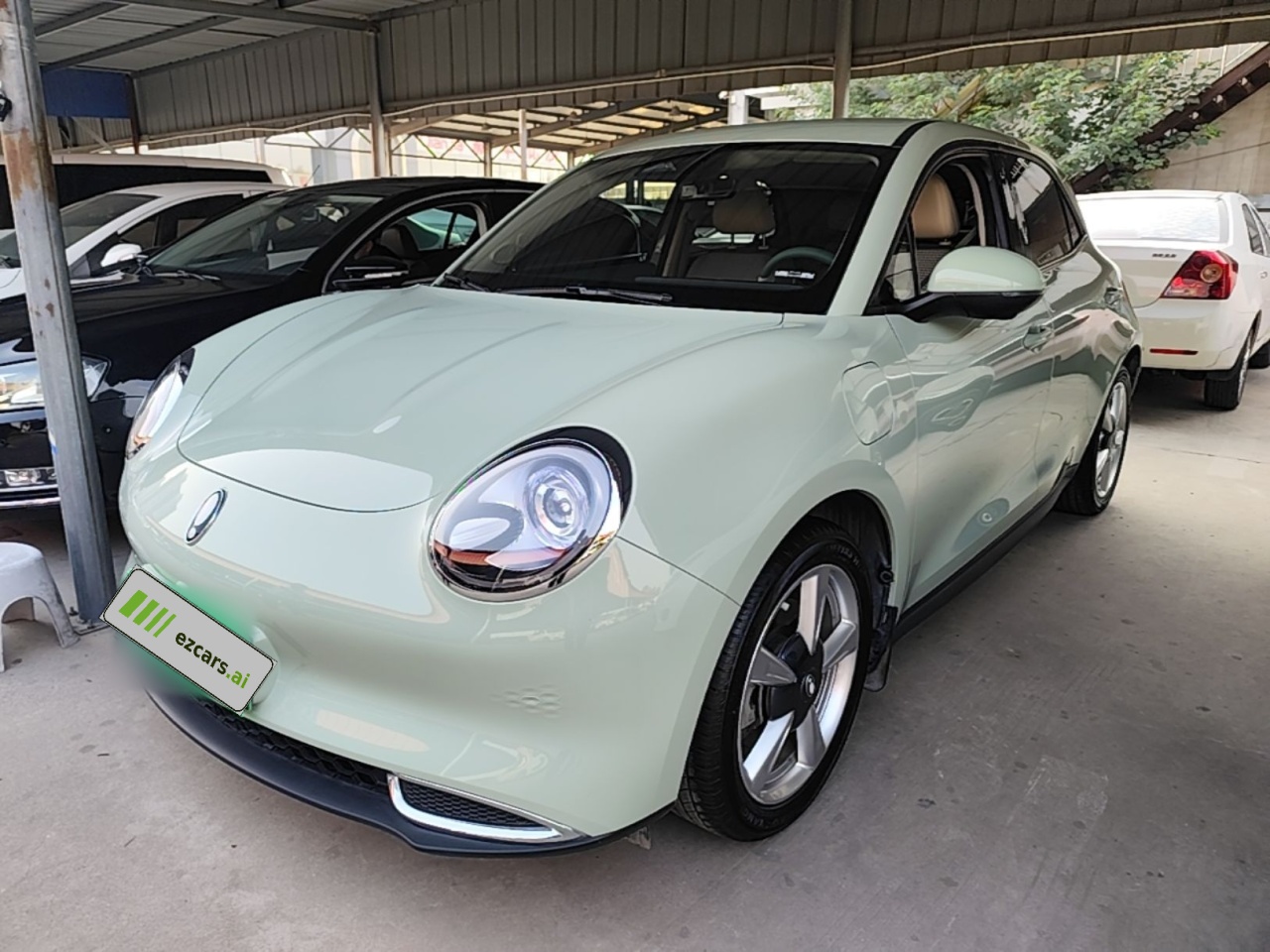 Good Cat 2023 401km Standard Range Luxury LFP