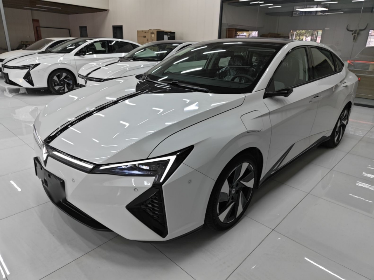 L 2025 +