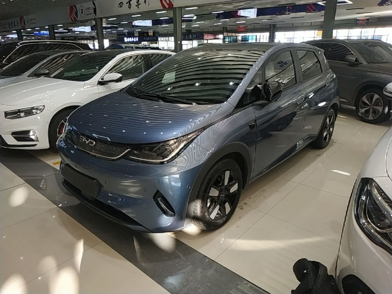 Dolphin 2025 ADAS 410km Fashion