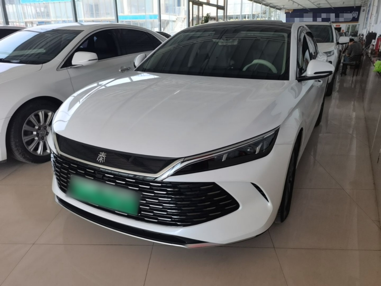 Qin L 2024 DM-i 80KM Leading