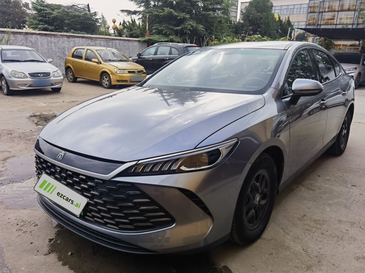 Qin PLUS 2025 DM-i ADAS 55KM Leading