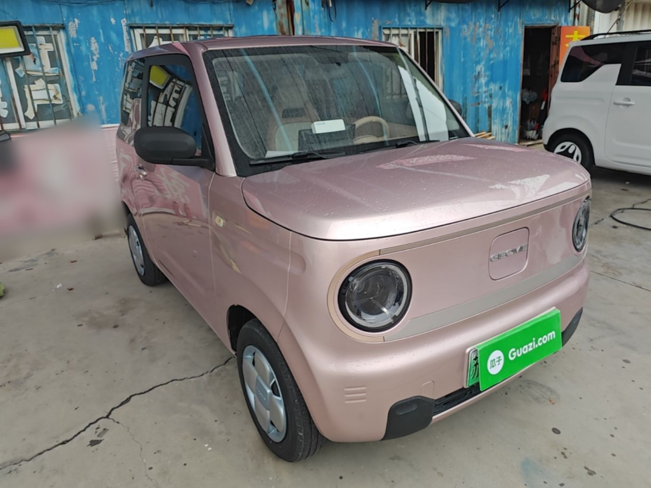 2023 Panda mini 200km Endurance Bear photo 3
