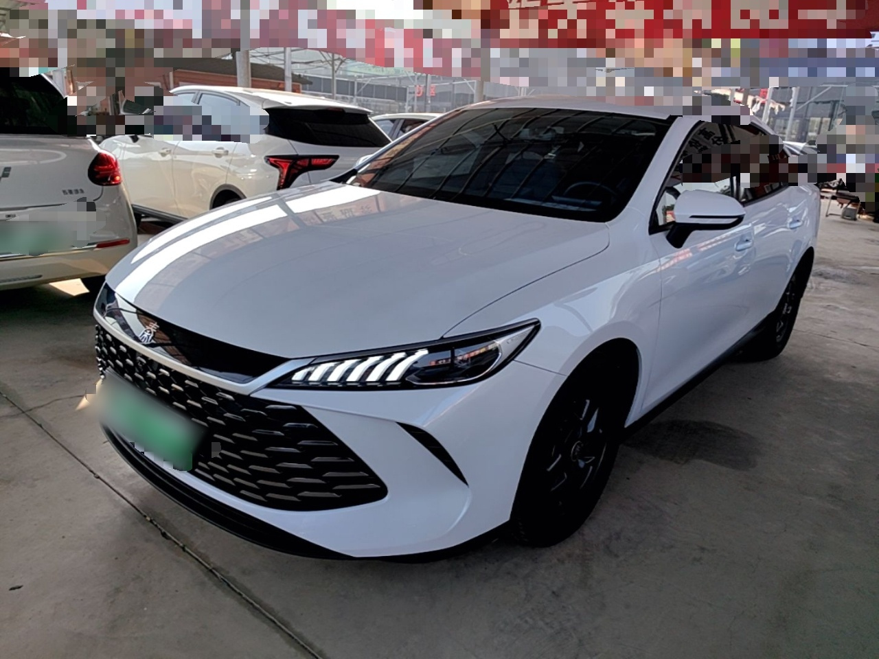 Qin PLUS 2025 DM-i ADAS 55KM Leading