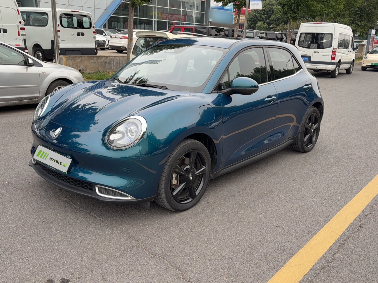 Good Cat 2024 401km Luxury