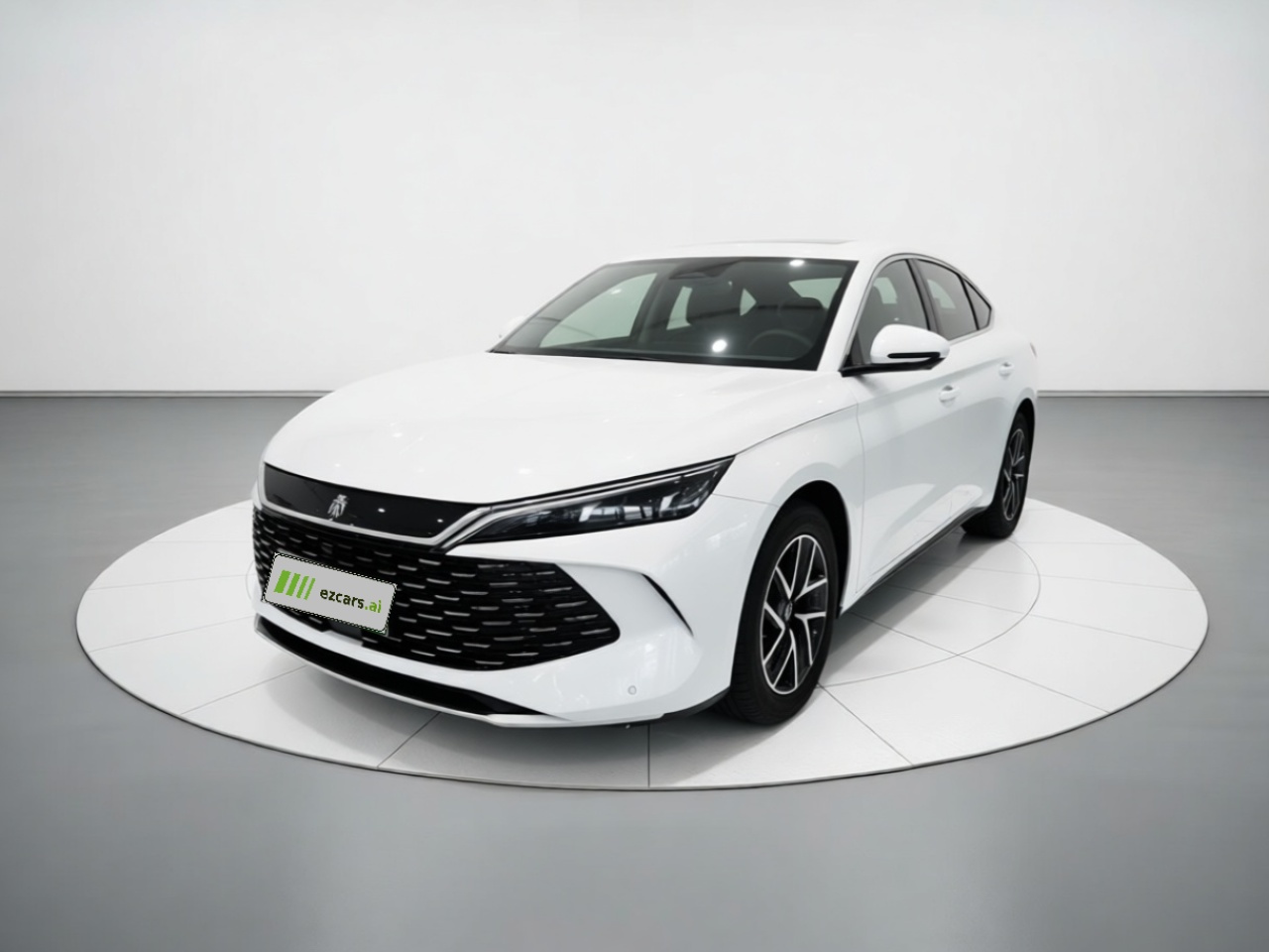 Qin L 2024 DM-i 120KM