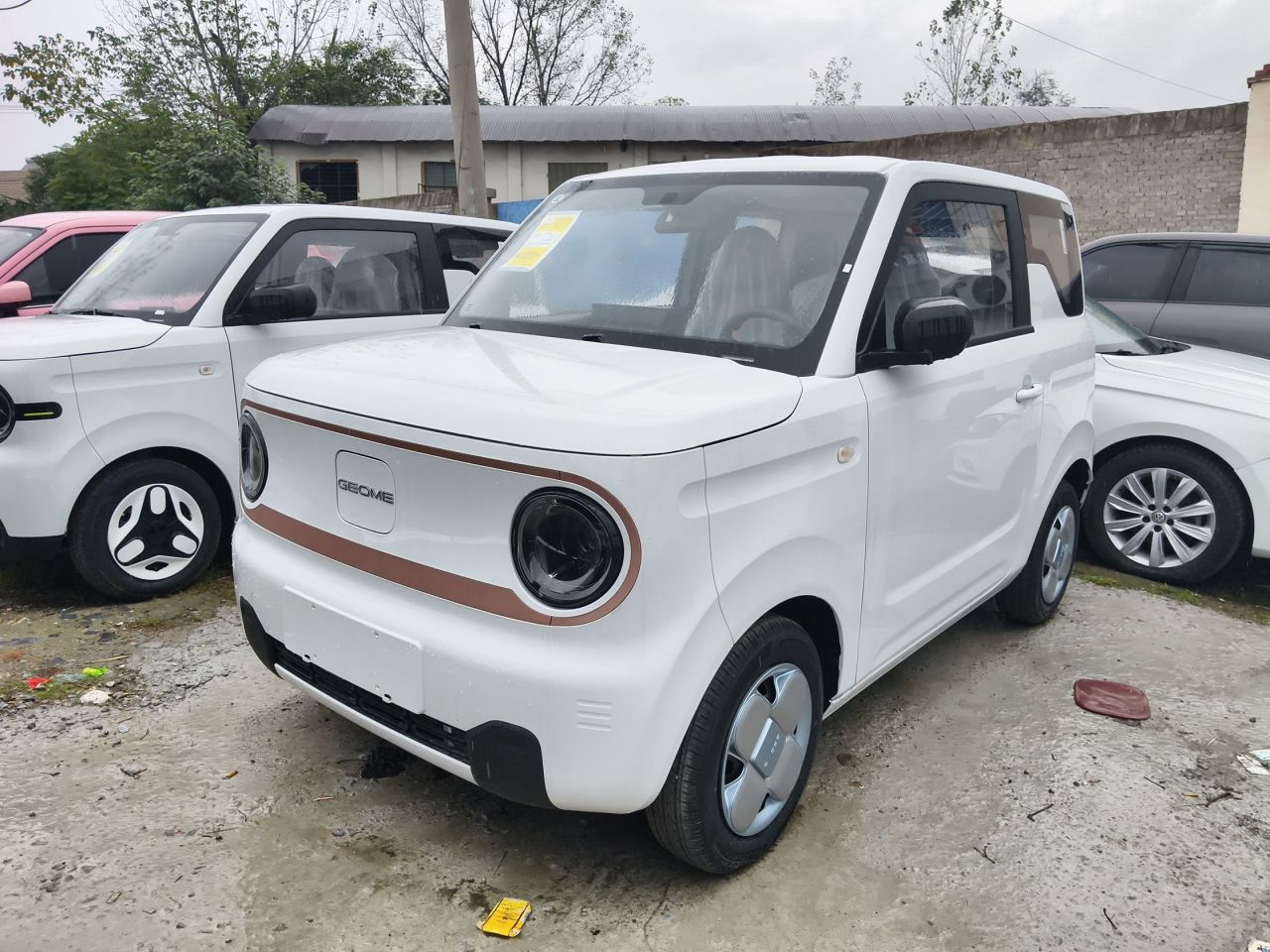 2024 Panda mini 200km Endurance Bear