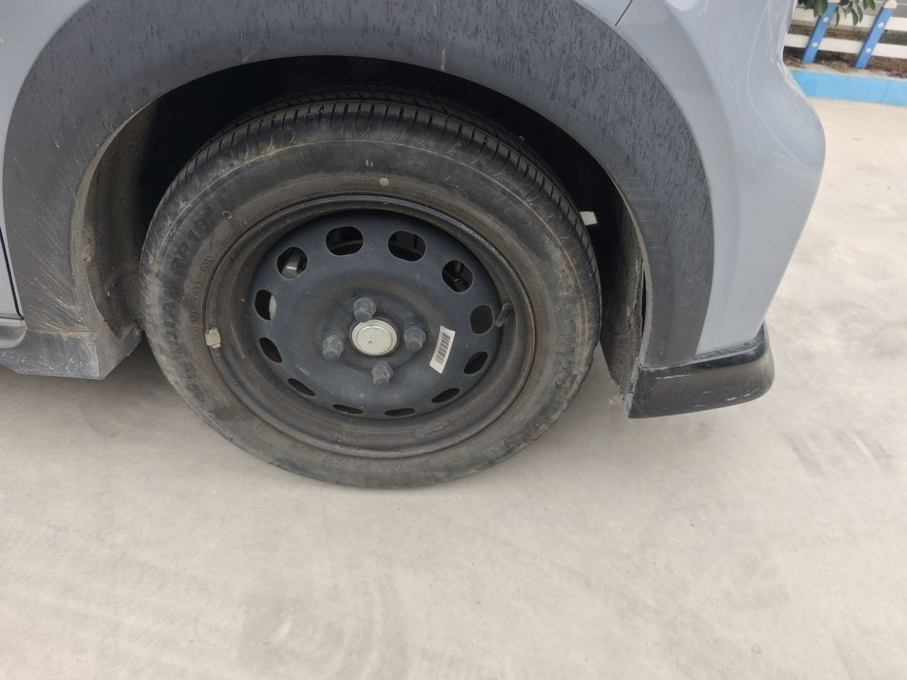 2024 200km Panda photo 2